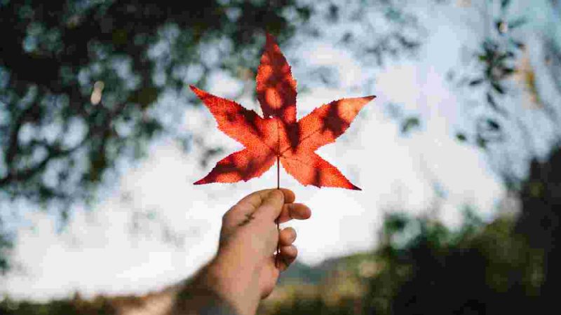 Alberta moves to attract foreign students spurned by US - Global Education Times (GET News)