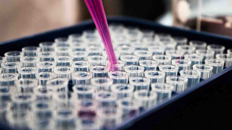 Universities vital to making UK a science superpower - Global Education Times (GET News)