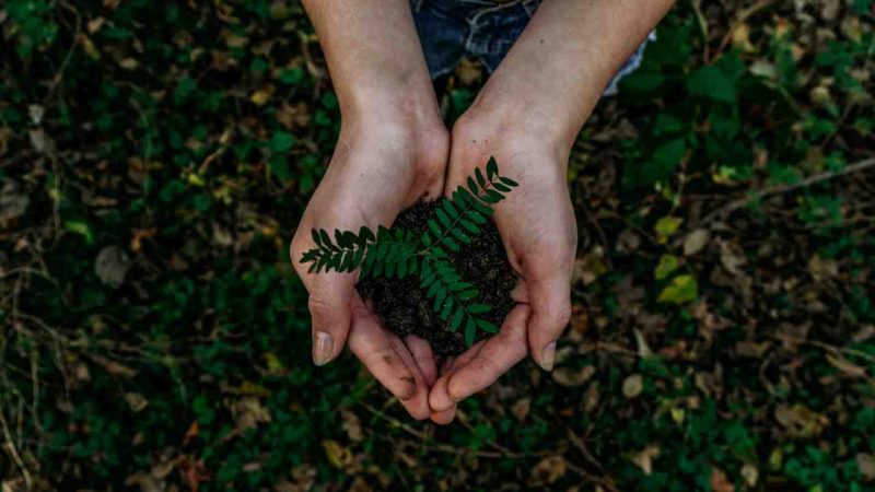 EDHEC and MINES launch Sustainable Finance degree - Global Education Times (GET News)